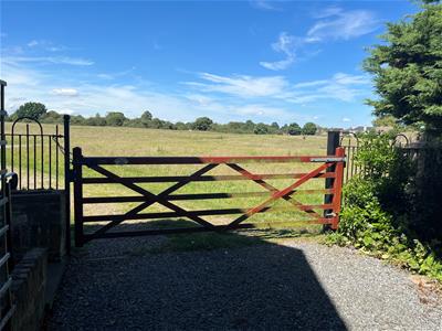 Picture 28